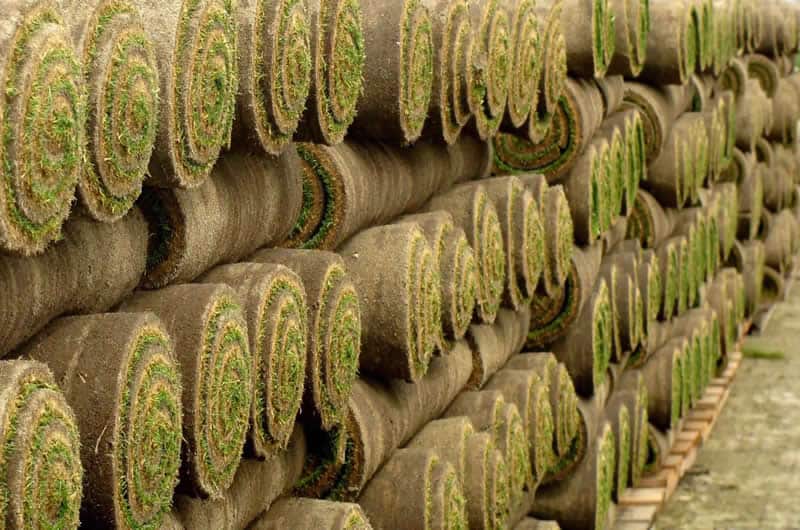 Productos tepes en rollos