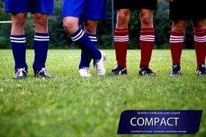 cesped_compact_zulueta