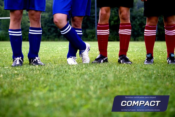 Mezcla_semillas _Compact