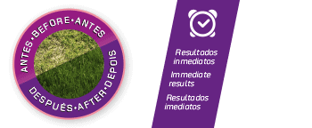 Mezcla de semillas para césped Regenerator