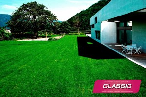 Mezcla de semillas para cesped Classic Semillas Zulueta