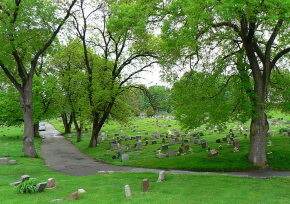 Césped en elCementerio de Brompton. Londres