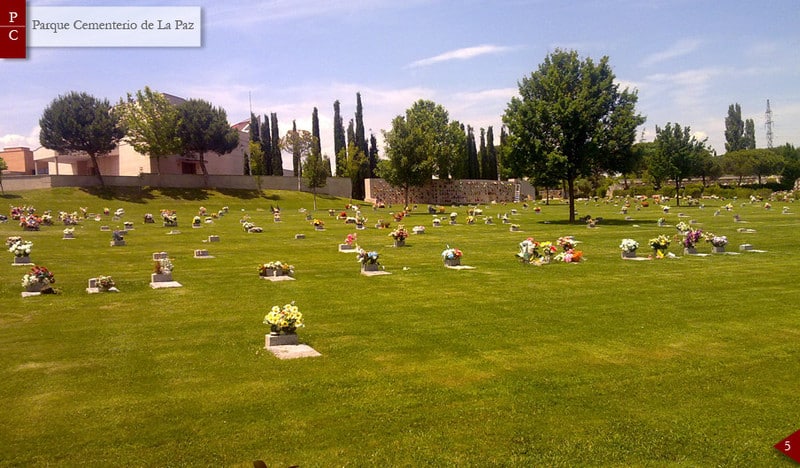 Césped en el Parque Cementerio de la paz Madrid