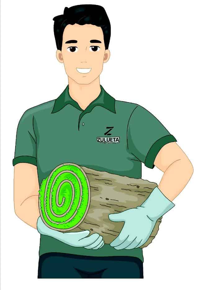 Icono _Tepe_ Zulueta