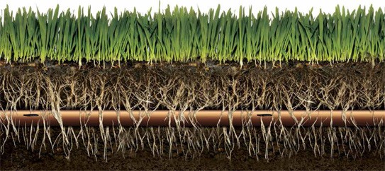 Riego_goteo_césped_corte