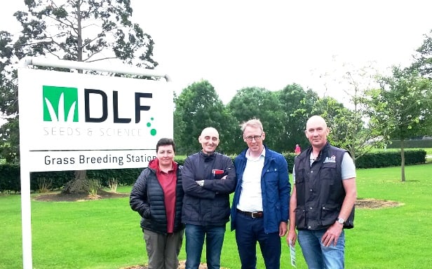 junio_2016_Zulueta_DLF_1