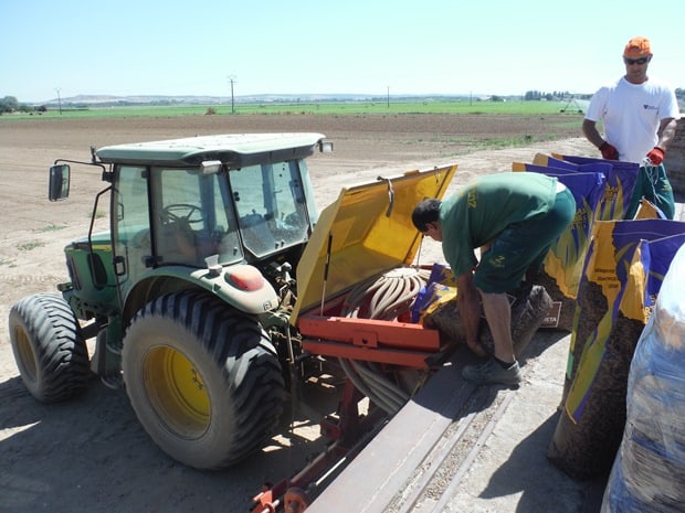 Siembra_césped_Zulueta