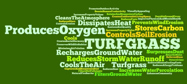 beneficios_del_cesped