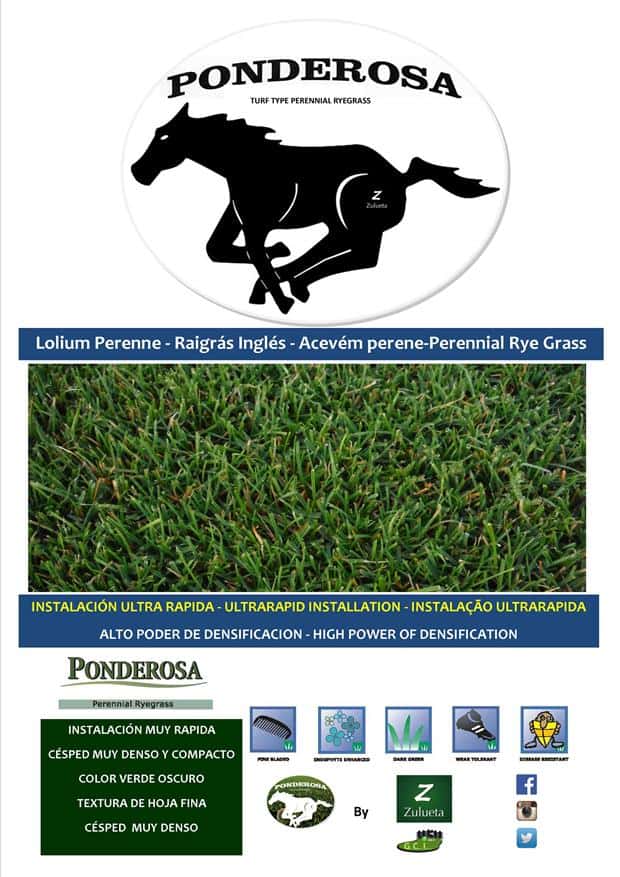 ponderosa-ficha-zulueta