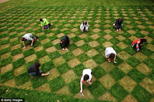 césped_tablero_ajedrez