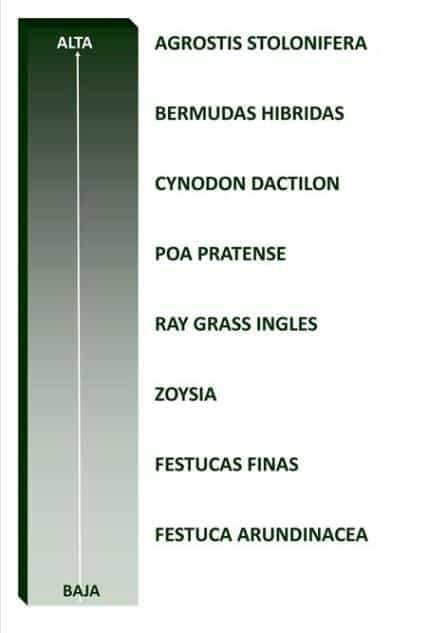 necesidades_fertilizacion_cesped