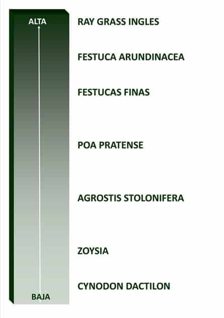 velocidad_establecimiento