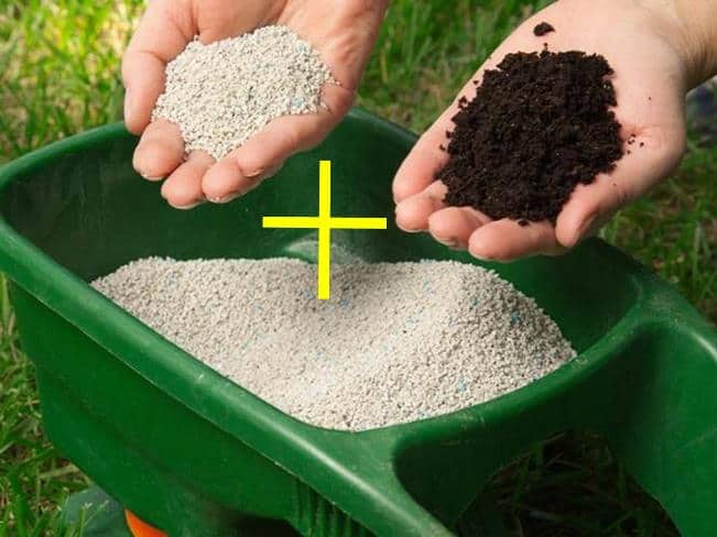 mineral_mas_organico