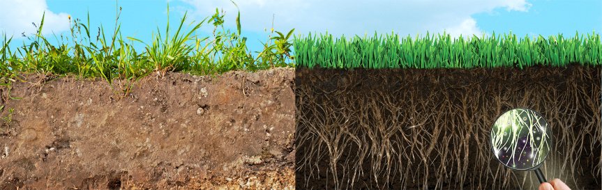 suelo_compactado_vs_no