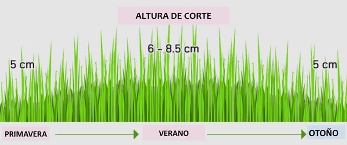 altura_corte_estacional