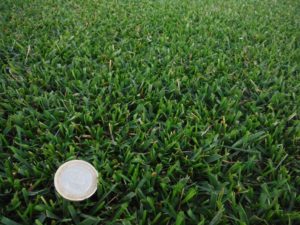 compact_detalle_zulueta