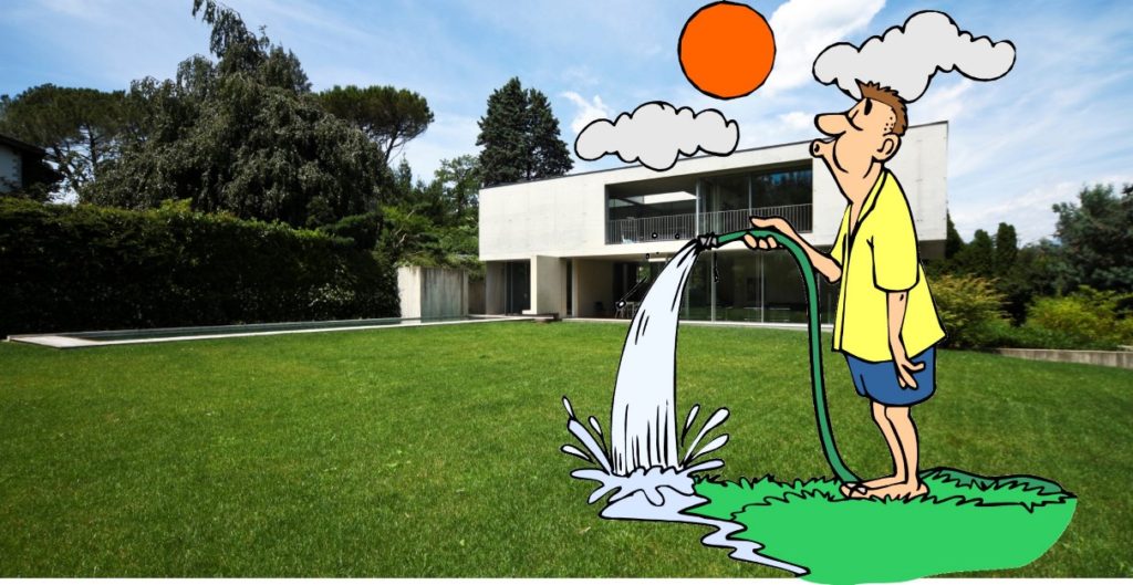 que_hay_malo_cesped_fb