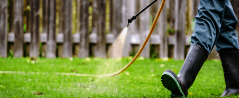 tratamiento_antigerminativo