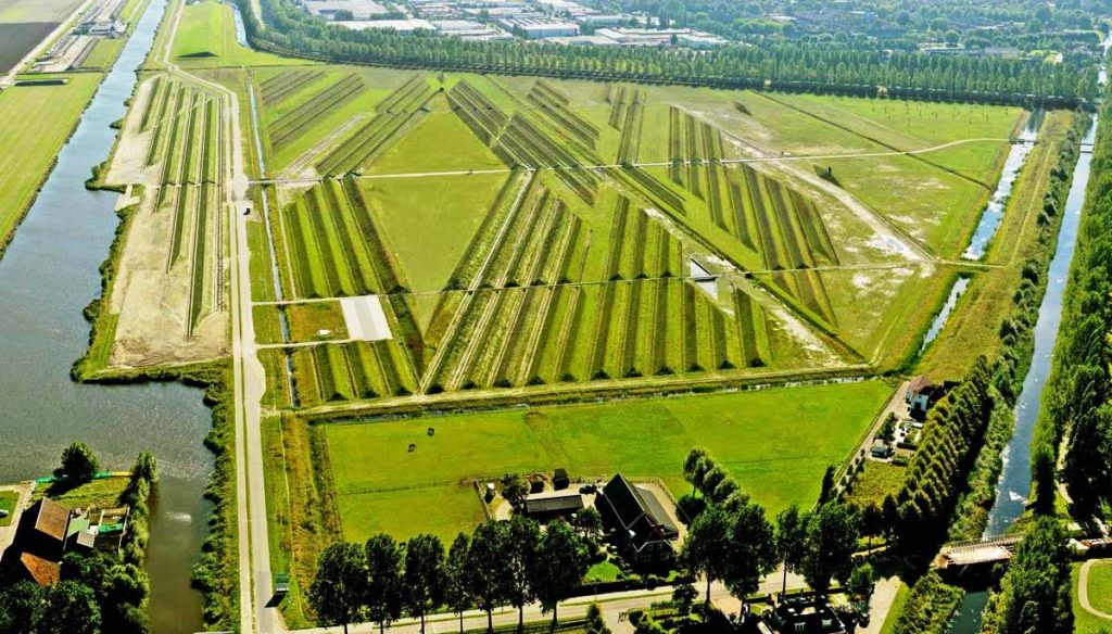 lucha_ruido_aeropuertos_con_cesped