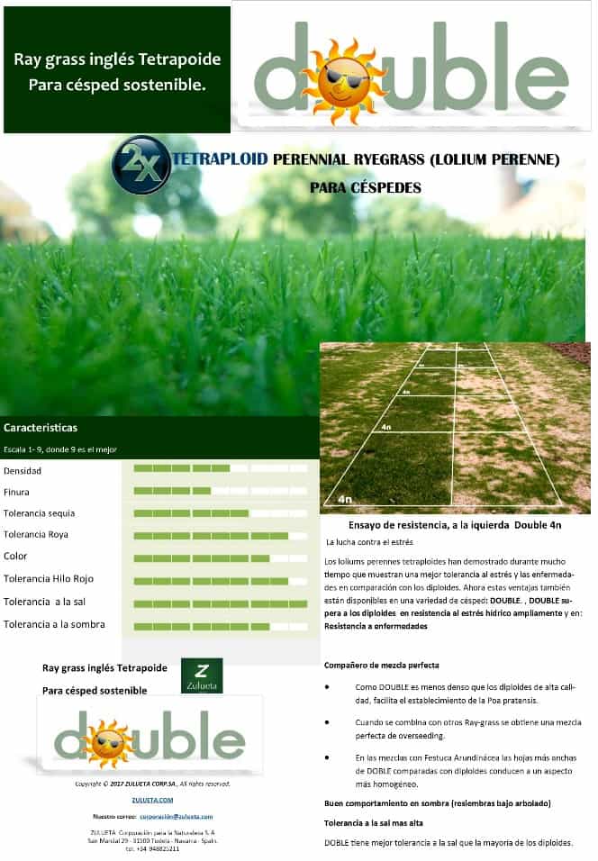 Double_ray_grass_ingles_