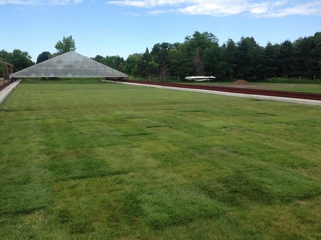 ensayos_sequia_cesped