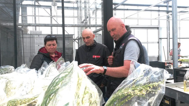 tecnicos_zulueta_dlf