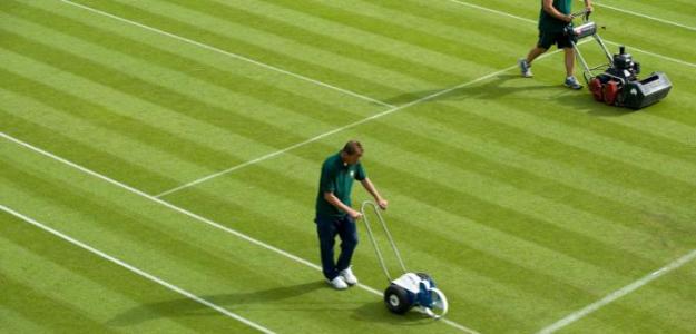 wimbledon_cesped