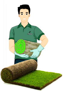 icono-tepe-rollo-comic-web